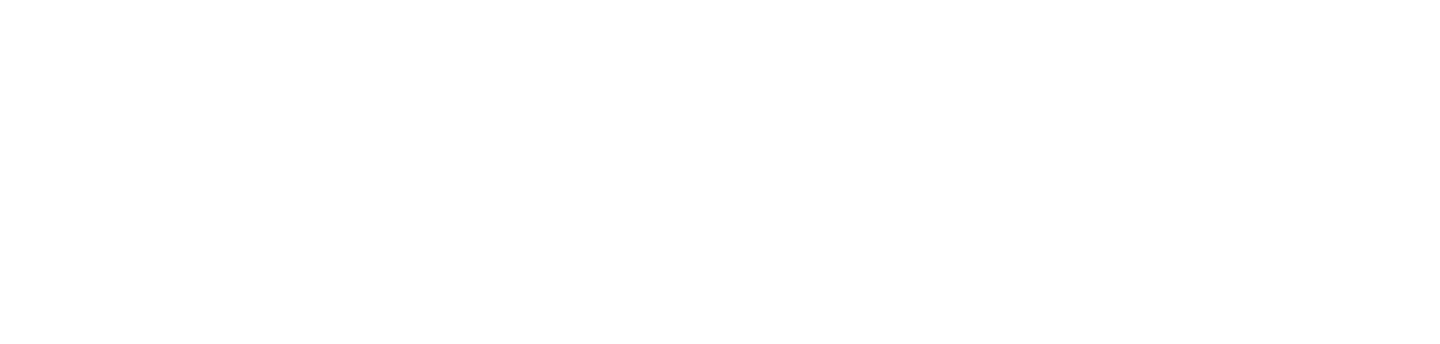 Logo Skylink